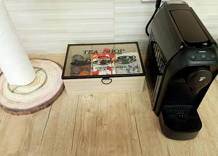 Penthouse View Infinity Brasov