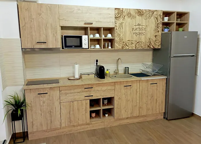 Penthouse View Infinity Brasov